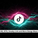 Tiktok Slang Terms