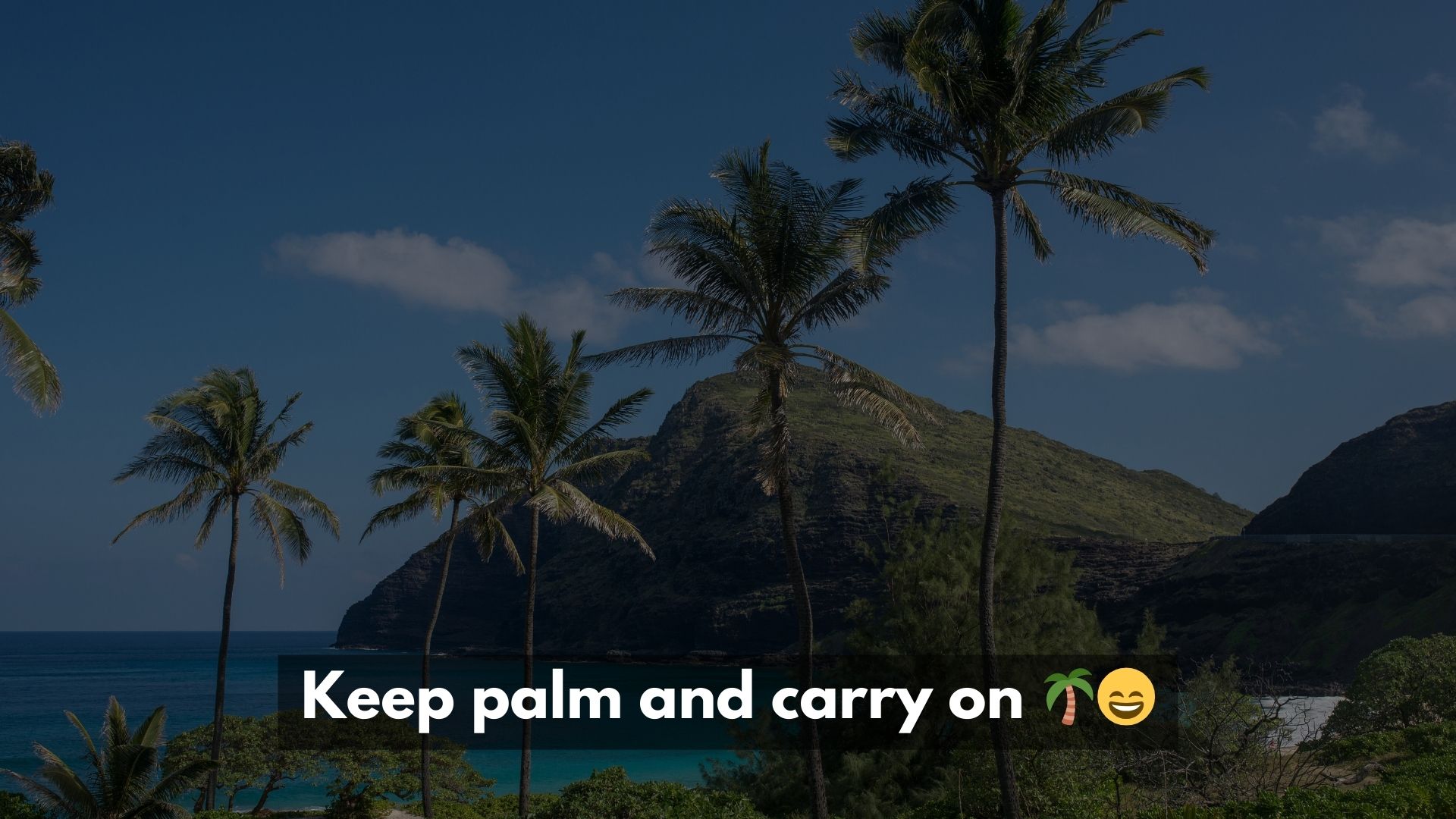 Hawaiian Puns and Funny Sayings