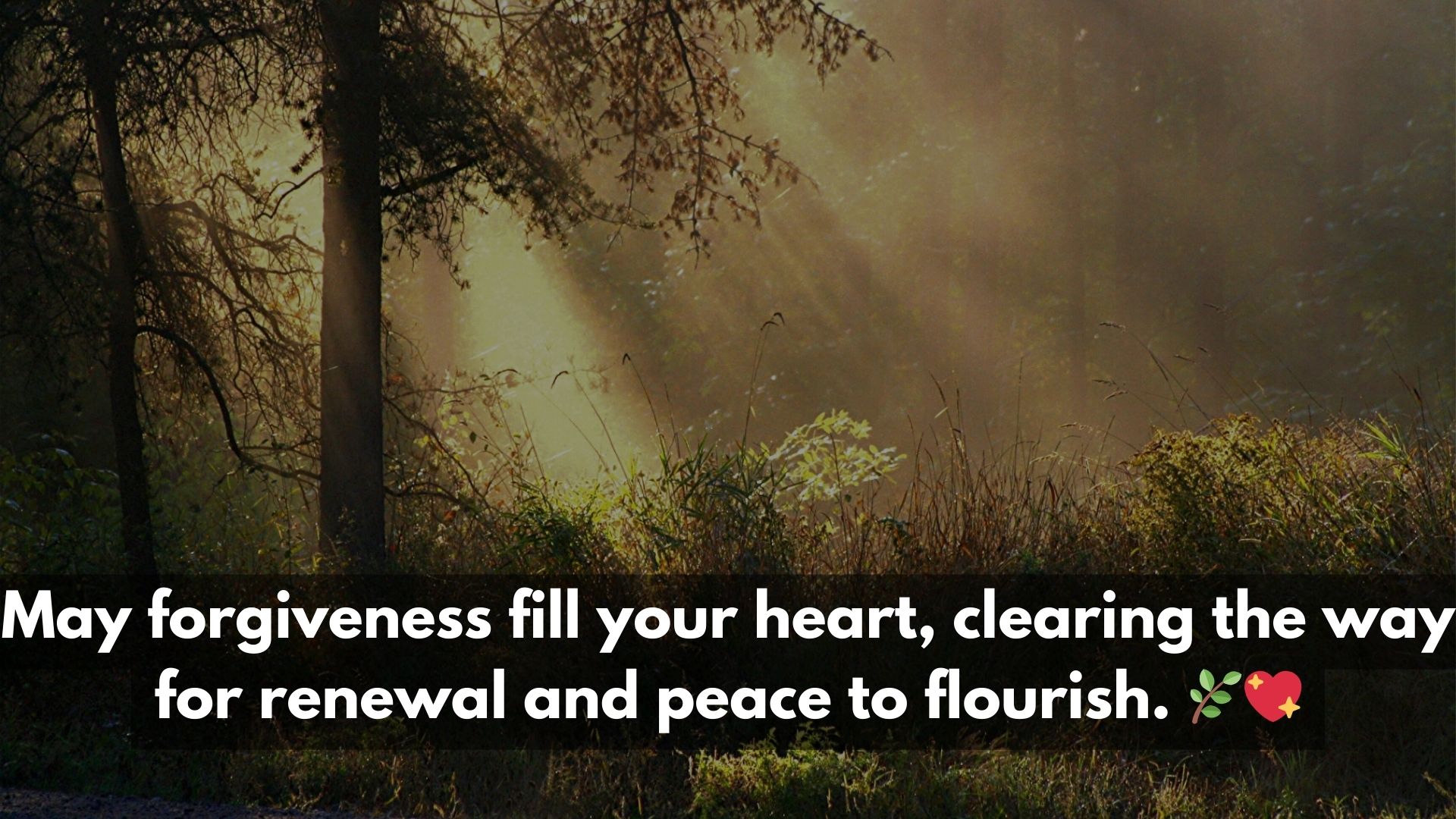 Sunday Blessings for Forgiveness and Renewal