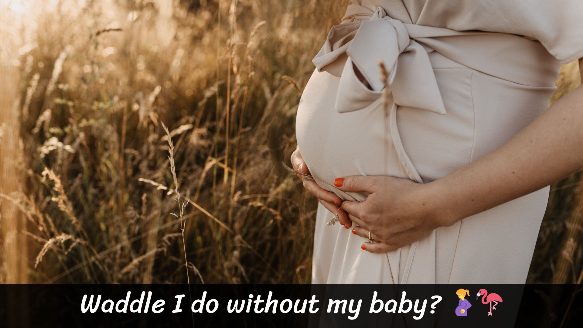 Funny and Playful Maternity Photo Captions 