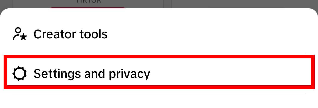 tiktok Settings and Privacy option